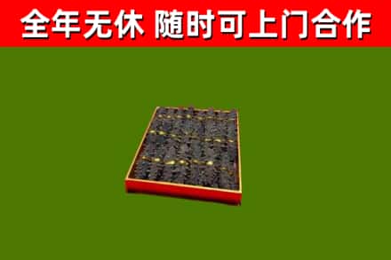 正阳县回收海参